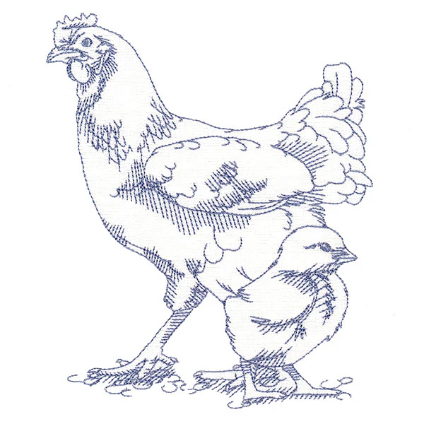 Barnyard Etchings - Hen and Chick - Image 4