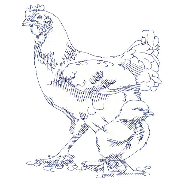 Barnyard Etchings - Hen and Chick - Image 5