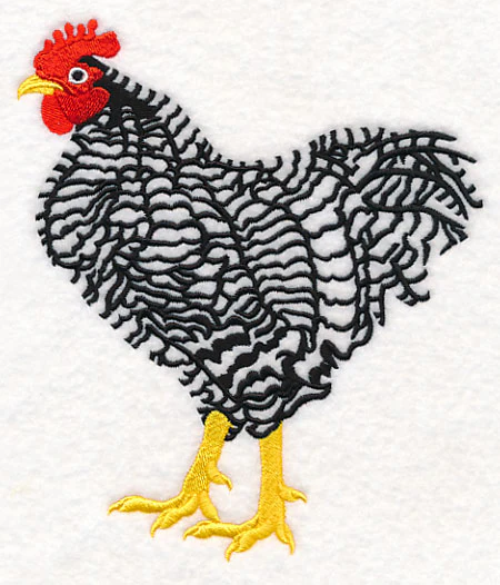 Barred Plymouth Rock Rooster - Image 2