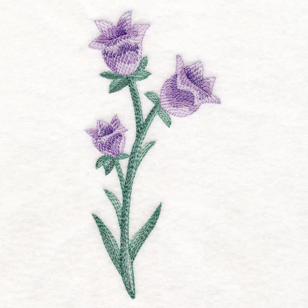 Beautiful Bellflower in Watercolor - Image 2