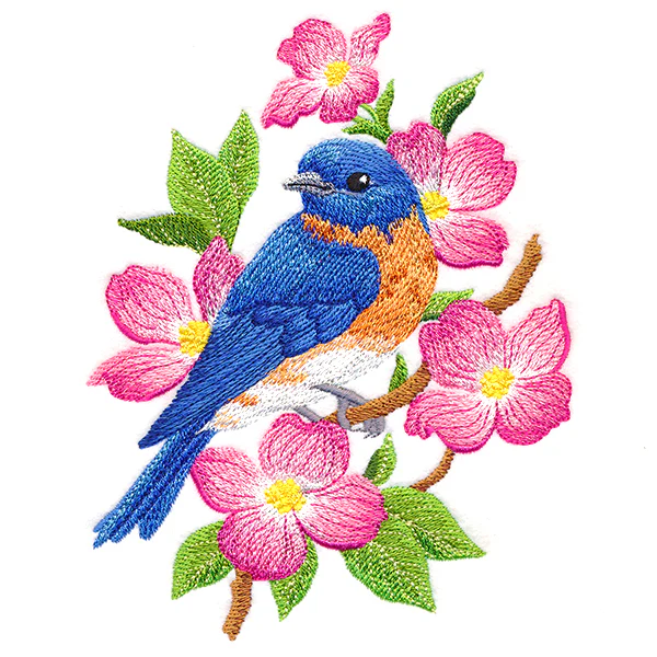 Beautiful Bluebird in Blooms - Image 5