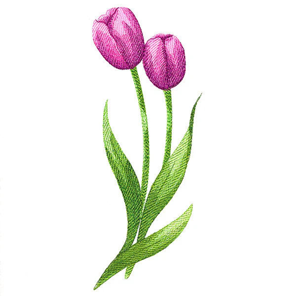 Beautiful Tulips - Image 2