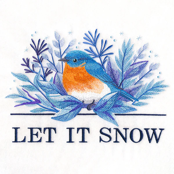 Beautiful Winter Bluebird - Image 10