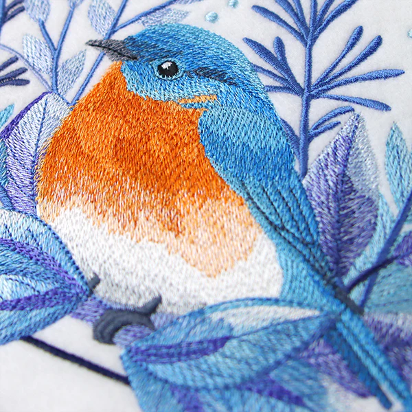 Beautiful Winter Bluebird - Image 12