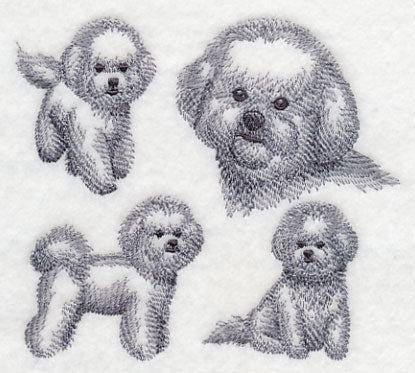 Bichon Frise Sketch - Image 3
