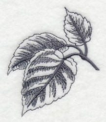 Birch Leaf - Image 3