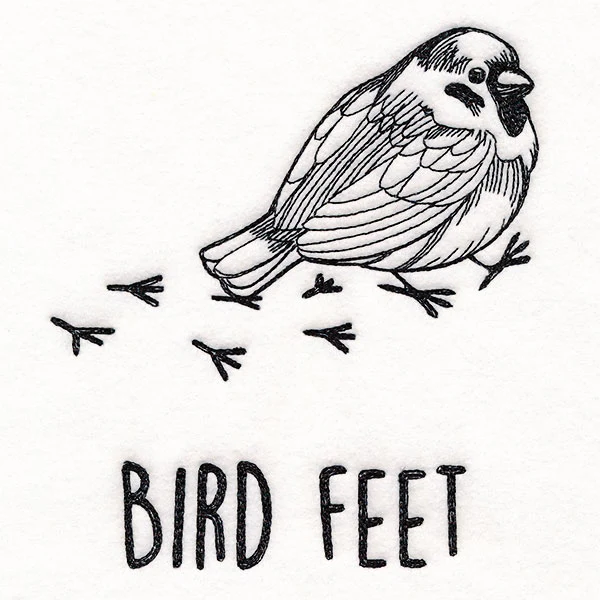 Bird Feet Chickadee - Image 3