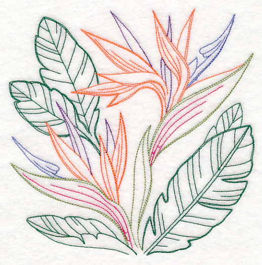 Bird of Paradise Square (Vintage) - Image 2