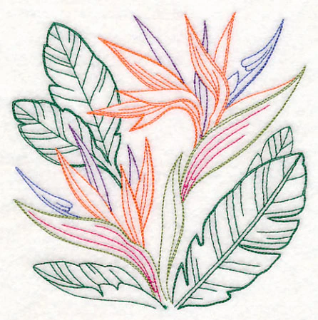 Bird of Paradise Square (Vintage) - Image 3