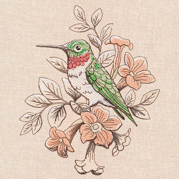 Birds and Blooms - Hummingbird - Image 4