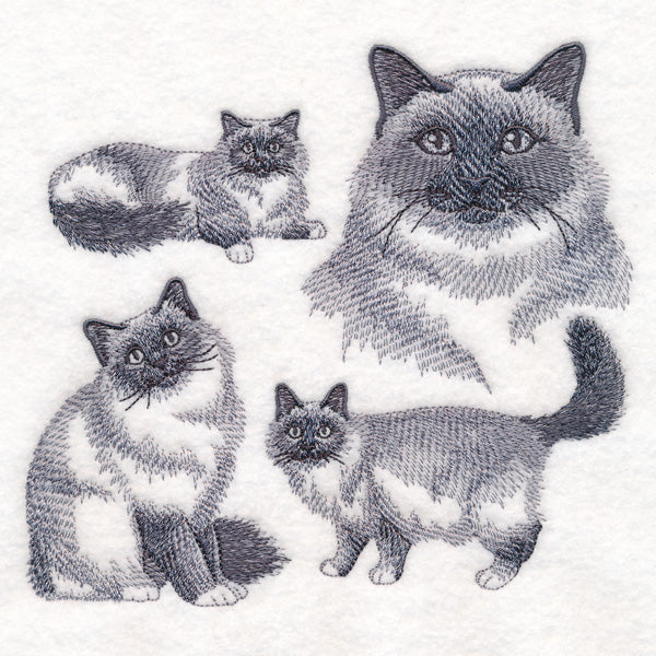Birman Cat Sketch - Image 2