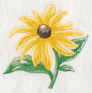 Black-eyed Susan Beauty - Image 5