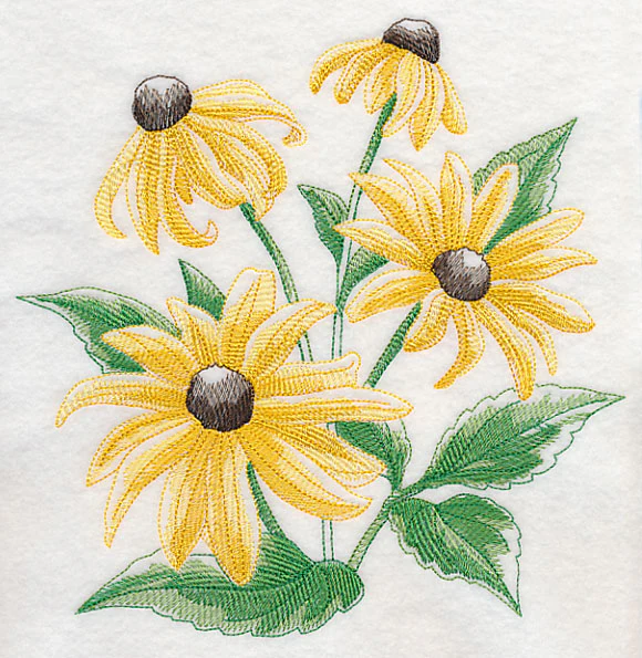 Black-Eyed Susan Sketch - Image 6