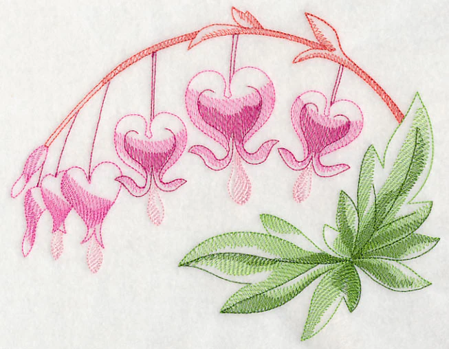 Bleeding Hearts Beauty