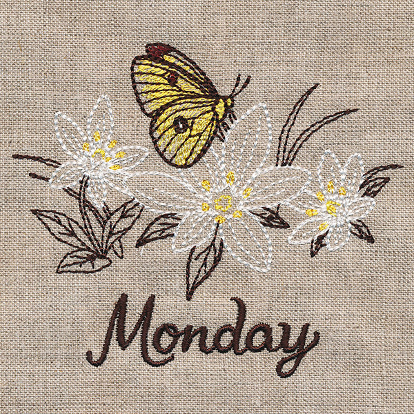 Blessed Monday - Clouded Sulfur & Star of Bethlehem - Image 2