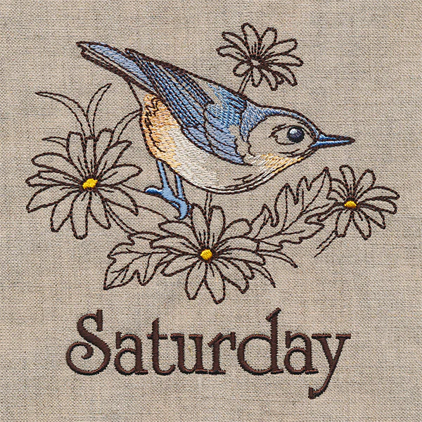 Blessed Saturday - Nuthatch and Chicory - Image 3