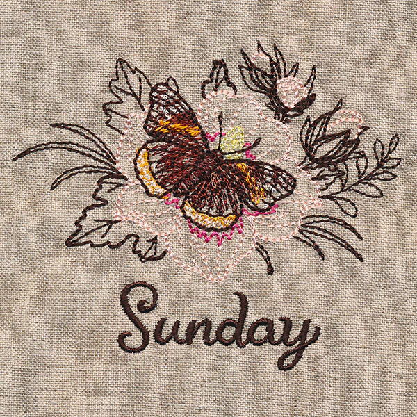 Blessed Sunday - Red Admiral & Rose of Sharon - Image 2