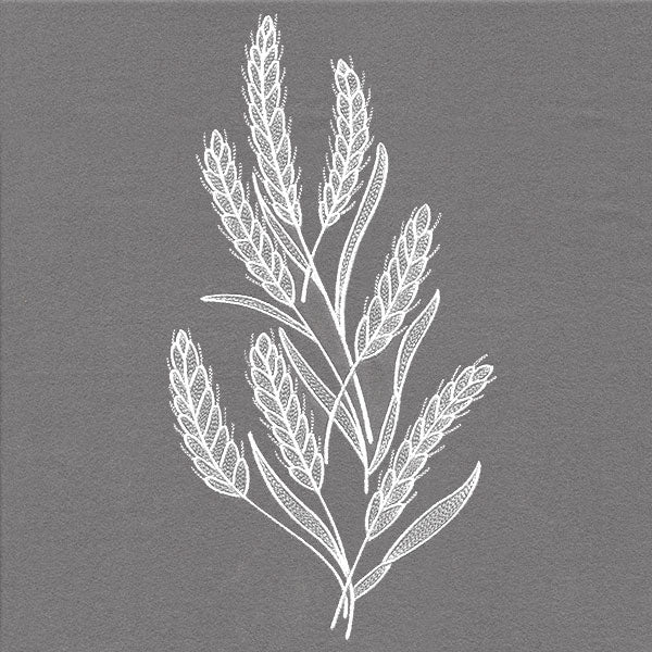 Blissful Wheat Feature - Image 5