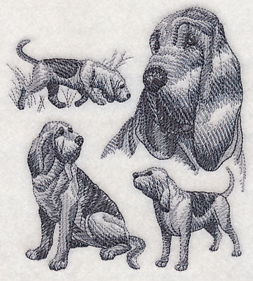 Bloodhound Sketch - Image 3