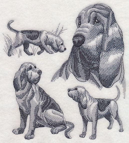 Bloodhound Sketch - Image 4