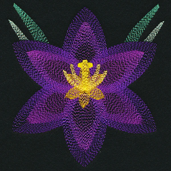 Blooming Garden Crocus - Image 3