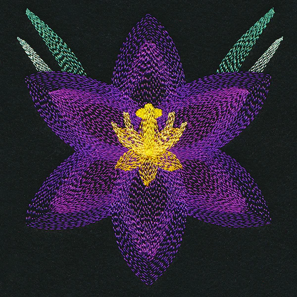 Blooming Garden Crocus - Image 4