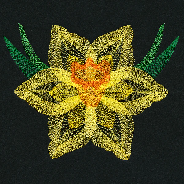 Blooming Garden Daffodil - Image 6
