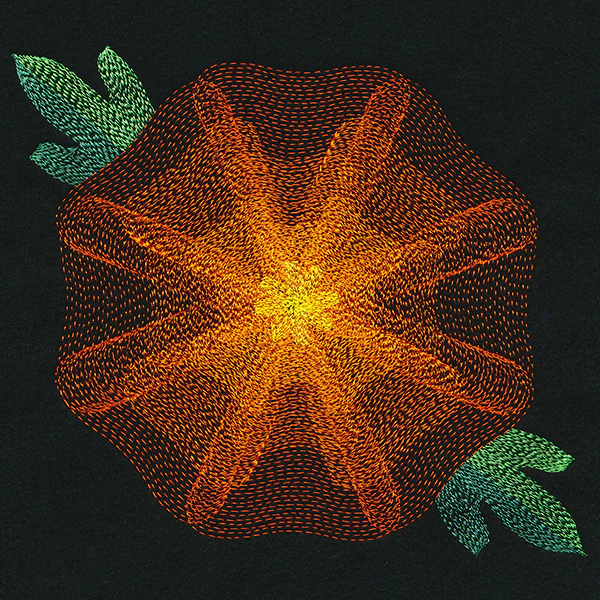 Blooming Garden Marigold - Image 2