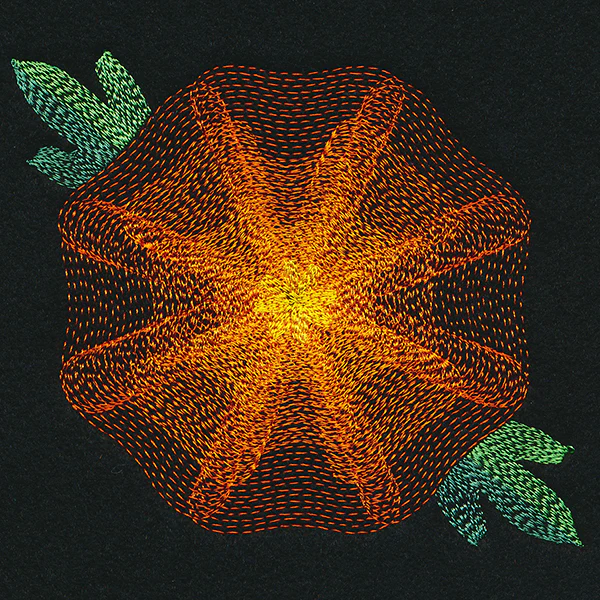 Blooming Garden Marigold - Image 4
