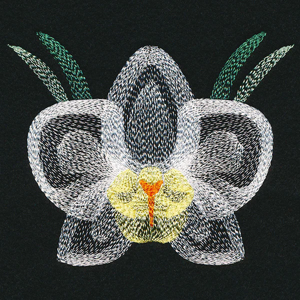 Blooming Garden Orchid - Image 4