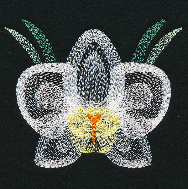 Blooming Garden Orchid - Image 5