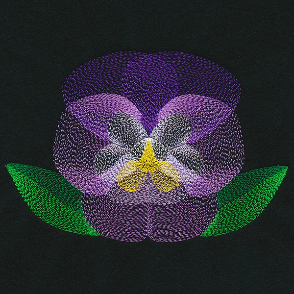 Blooming Garden Pansy - Image 2