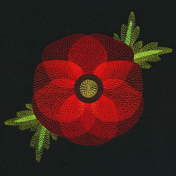 Blooming Garden Poppy