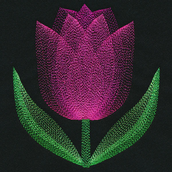 Blooming Garden Tulip - Image 2