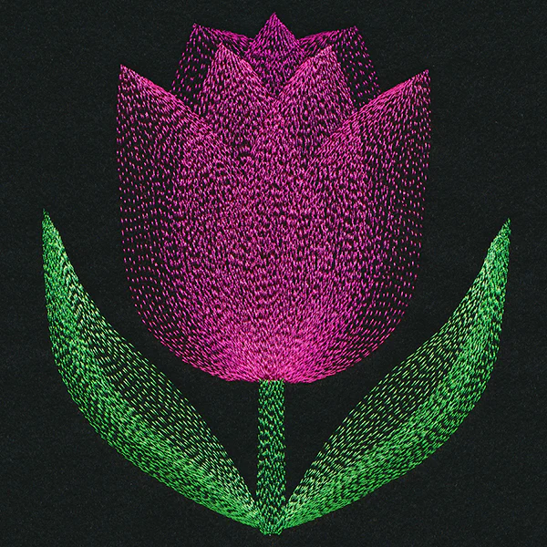 Blooming Garden Tulip - Image 3