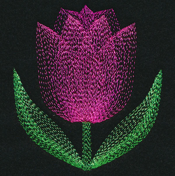 Blooming Garden Tulip - Image 5