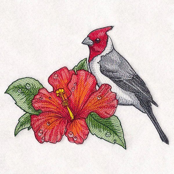 Blooming
Hibiscus and Red-crested Cardinal - Image 3