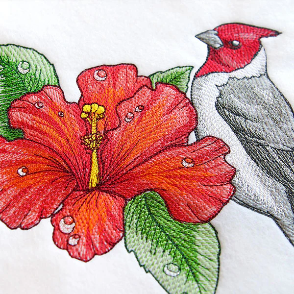 Blooming
Hibiscus and Red-crested Cardinal - Image 6