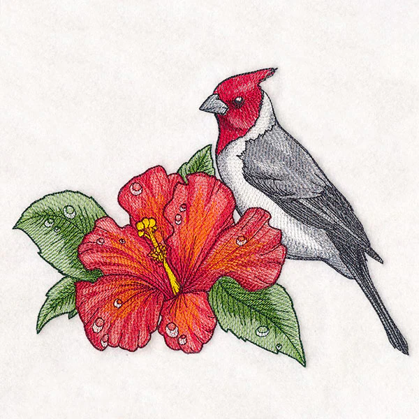 Blooming
Hibiscus and Red-crested Cardinal - Image 7