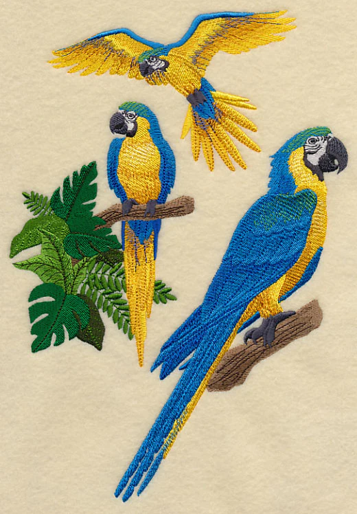 Blue-and-yellow Macaw Collage - Image 2