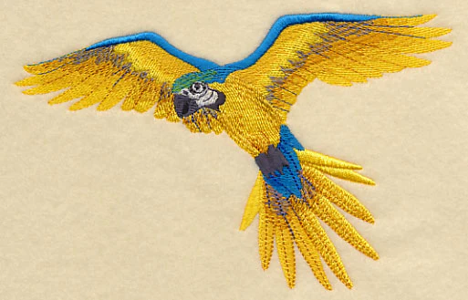 Blue-and-yellow Macaw in Flight - Image 3