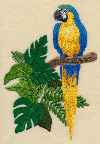 Blue-and-yellow Macaw in the Tropics - Image 3