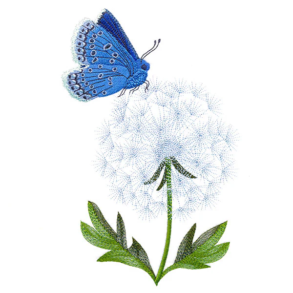 Blue Butterfly with Dandelion - Image 3