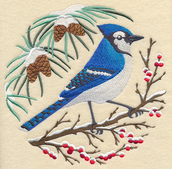Blue Jay Scene - Image 2