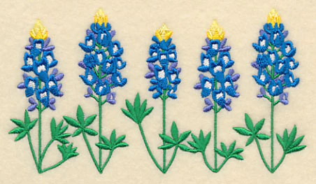 Bluebonnet Border - Image 4