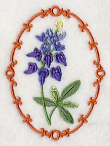 Bluebonnet Cameo - Image 4