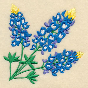 Bluebonnet Corner - Image 3