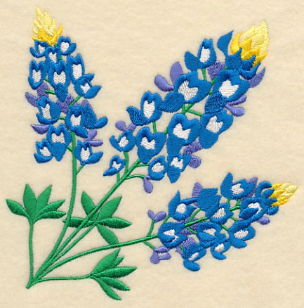 Bluebonnet Corner - Image 4