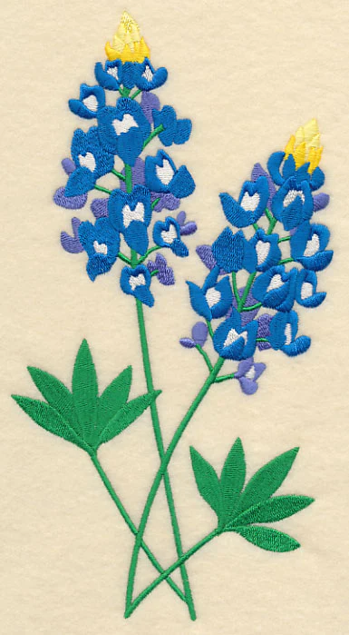 Bluebonnet Pair - Image 2