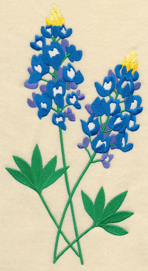 Bluebonnet Pair - Image 5